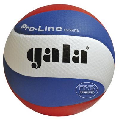 Volejbalový míč GALA Pro Line - BV 5591 S