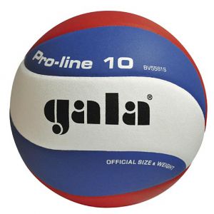 Volejbalový míč GALA Pro-Line 10