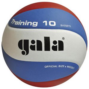 Volejbalový míč Gala Training 10