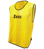 prev_1479202915_MEDcasacca-promo-giallo.jpg