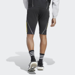 prev_1679399207_IC4568_4_APPAREL_On_Model_Back_View_grey.jpg