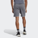 prev_1681215471_HZ3017_4_APPAREL_On_Model_Back_View_grey.jpg